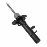 Order Front Strut by MOTORCRAFT - AST24655 For Your Vehicle