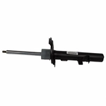 Order Front Strut by MOTORCRAFT - AST24657 For Your Vehicle
