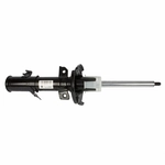 Order Front Strut by MOTORCRAFT - AST24733 For Your Vehicle