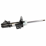 Order Front Strut by MOTORCRAFT - AST24737 For Your Vehicle