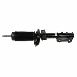 Order Front Strut by MOTORCRAFT - AST385 For Your Vehicle