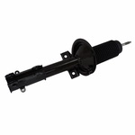 Order Front Strut by MOTORCRAFT - AST448 For Your Vehicle
