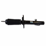 Order Front Strut by MOTORCRAFT - AST481 For Your Vehicle