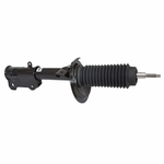 Order Front Strut by MOTORCRAFT - AST900 For Your Vehicle