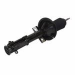 Order Front Strut by MOTORCRAFT - AST902 For Your Vehicle