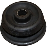 Order CRP/REIN - AVQ0487 - Front Lower Strut Mount For Your Vehicle