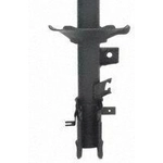 Order Front Strut by PRT - 474010 For Your Vehicle