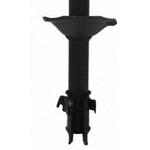 Order Front Strut by PRT - 474523 For Your Vehicle