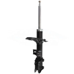 Order Front Strut by TRANSIT WAREHOUSE - 78-71135 For Your Vehicle