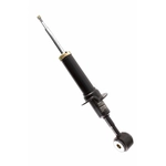 Order Front Strut by TRANSIT WAREHOUSE - 78-71361 For Your Vehicle