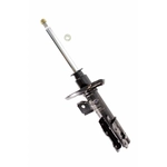 Order Front Strut by TRANSIT WAREHOUSE - 78-72179 For Your Vehicle