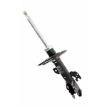 Order Front Strut by TRANSIT WAREHOUSE - 78-72205 For Your Vehicle