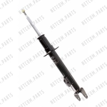 Order Front Strut by TRANSIT WAREHOUSE - 78-72248 For Your Vehicle