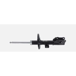 Order TRANSIT WAREHOUSE - 78-72978 - Front Strut For Your Vehicle