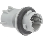 Order BLUE STREAK (HYGRADE MOTOR) - S2654 - Electrical Socket For Your Vehicle