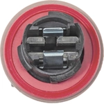 Order Front Turn Signal Light Socket by BLUE STREAK (HYGRADE MOTOR) - S2678 For Your Vehicle