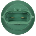 Order BWD AUTOMOTIVE - PT5741 - Turn Signal Light Socket For Your Vehicle