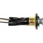 Order Front Turn Signal Light Socket by DORMAN/CONDUCT-TITE - 85833 For Your Vehicle