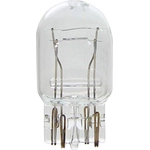 Order Front Turn Signal by WAGNER - BP7443 For Your Vehicle