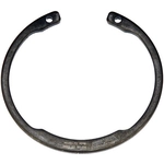 Order Front Wheel Bearing Retainer by DORMAN (OE SOLUTIONS) - 933-100 For Your Vehicle