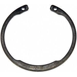 Order Front Wheel Bearing Retainer by DORMAN (OE SOLUTIONS) - 933-100 For Your Vehicle