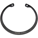 Order Front Wheel Bearing Retainer by DORMAN (OE SOLUTIONS) - 933-200 For Your Vehicle