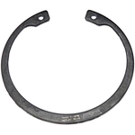 Order Front Wheel Bearing Retainer by DORMAN (OE SOLUTIONS) - 933-802 For Your Vehicle