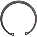 Order Front Wheel Bearing Retainer by EDGE - TB97 For Your Vehicle