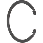 Order SCHAEFFLER - WR0114 - Front Wheel Bearing Retainer For Your Vehicle