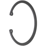 Order SCHAEFFLER - WR0125 - Front Wheel Bearing Retainer For Your Vehicle