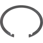 Order SCHAEFFLER - WR0196 - Front Wheel Bearing Retainer For Your Vehicle