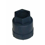 Purchase Front Wheel Nut Cover (Pack of 10) by TRANSIT WAREHOUSE - CRM10028614T