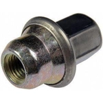 Order DORMAN/AUTOGRADE - 611-181.1 - Front Wheel Nut For Your Vehicle