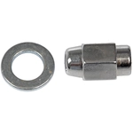 Order DORMAN (OE SOLUTIONS) - 611104 - Wheel Nut M12-1.50 Mag For Your Vehicle