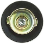 Order Fuel Cap by MOTORAD - MGC32 For Your Vehicle