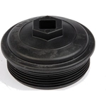 Order DORMAN (OE SOLUTIONS) - 904-209 - Fuel Filter Cap For Your Vehicle
