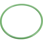 Order Fuel Filter O-Ring by URO - LR000966 For Your Vehicle