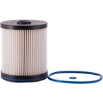 Order Fuel Filter by PREMIUM GUARD - DF99379 For Your Vehicle