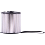 Order PRONTO FILTERS - DF99569 - Fuel Filter For Your Vehicle