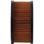 Order PRONTO FILTERS - PF126 - Fuel Filter For Your Vehicle