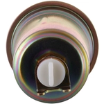 Order PRONTO FILTERS - PF4829 - Fuel Filter For Your Vehicle