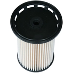 Order PUREZONE OIL & AIR FILTERS - 6WF10120 - Fuel Filter For Your Vehicle