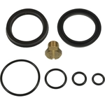 Order BWD AUTOMOTIVE - FPH1 - Fuel Filter Primer Housing Seal Kit For Your Vehicle
