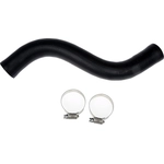 Order Fuel Hose by DORMAN (OE SOLUTIONS) - 573-030 For Your Vehicle