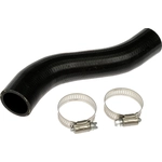 Order Fuel Hose by DORMAN (OE SOLUTIONS) - 573-042 For Your Vehicle