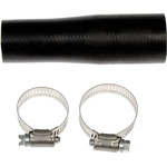 Order Fuel Hose by DORMAN (OE SOLUTIONS) - 573-056 For Your Vehicle