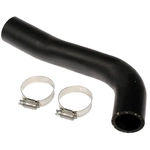 Order Fuel Hose by DORMAN (OE SOLUTIONS) - 573-081 For Your Vehicle