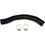 Order DORMAN (OE SOLUTIONS) - 573-086 - Fuel Filler Hose For Your Vehicle