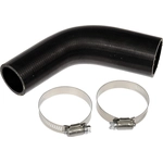 Order DORMAN (OE SOLUTIONS) - 573-093 - Fuel Hose For Your Vehicle
