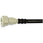 Order DORMAN (OE SOLUTIONS) - 800-050 - Fuel Line Connector For Your Vehicle